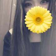 ヒメ日記 2026/01/26 10:41 投稿 つばき 奥様さくら難波店