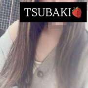 つばき つばき（奥様さくら難波店） 奥様さくら難波店