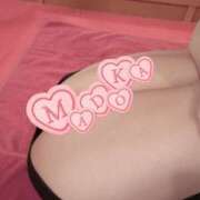 ヒメ日記 2026/03/13 05:59 投稿 まどか かぐや姫