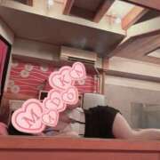 ヒメ日記 2026/03/17 06:21 投稿 まどか かぐや姫