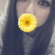 ヒメ日記 2026/01/29 09:37 投稿 つばき clubさくら難波店