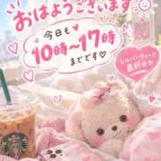 ヒメ日記 2026/09/23 09:18 投稿 つばき clubさくら難波店