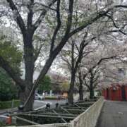 雪代 明日の予定！ 新宿人妻城