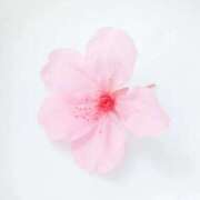 ヒメ日記 2026/03/30 08:24 投稿 有愛(ありあ) PLUS難波店