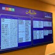 さくら お久しぶりです🌸 Seirenes (セイレネス)