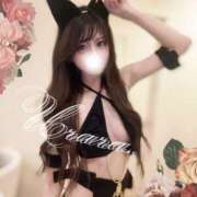 ヒメ日記 2026/02/16 01:34 投稿 麗/うらら プロフィール姫路