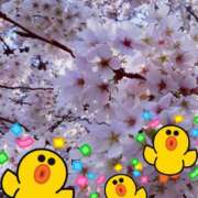 ヒメ日記 2026/03/31 13:02 投稿 まりか おクンニ学園 横浜関内校