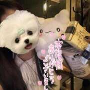 ヒメ日記 2026/01/27 17:36 投稿 はなまる ラブ・アンド・ラブ