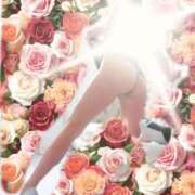 ヒメ日記 2026/03/16 15:19 投稿 南条くろえ 松戸人妻花壇