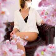 ヒメ日記 2026/03/28 17:12 投稿 南条くろえ 松戸人妻花壇