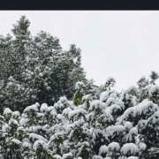 ヒメ日記 2026/02/08 17:58 投稿 はじめ カリビアン