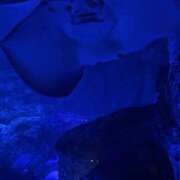 ヒメ日記 2026/02/18 17:46 投稿 はじめ カリビアン