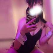 ヒメ日記 2026/02/02 07:00 投稿 しゅうか ロイヤルフラッシュ