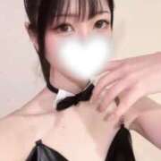 ヒメ日記 2026/02/07 07:01 投稿 しゅうか ロイヤルフラッシュ