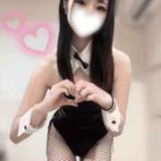 ヒメ日記 2026/02/25 06:00 投稿 しゅうか ロイヤルフラッシュ