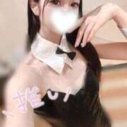 ヒメ日記 2026/02/27 10:02 投稿 しゅうか ロイヤルフラッシュ