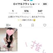 ヒメ日記 2026/02/28 16:10 投稿 しゅうか ロイヤルフラッシュ