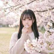 ヒメ日記 2026/03/07 06:00 投稿 しゅうか ロイヤルフラッシュ