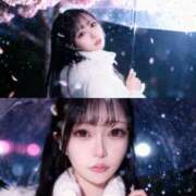 ヒメ日記 2026/04/05 06:00 投稿 しゅうか ロイヤルフラッシュ