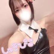 ヒメ日記 2026/04/05 10:01 投稿 しゅうか ロイヤルフラッシュ