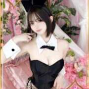 ヒメ日記 2026/04/06 07:15 投稿 しゅうか ロイヤルフラッシュ