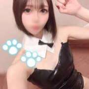 ヒメ日記 2026/04/11 15:34 投稿 しゅうか ロイヤルフラッシュ