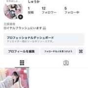 ヒメ日記 2026/04/19 19:59 投稿 しゅうか ロイヤルフラッシュ