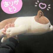 ヒメ日記 2026/04/30 11:09 投稿 しゅうか ロイヤルフラッシュ