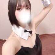 ヒメ日記 2026/05/03 17:01 投稿 しゅうか ロイヤルフラッシュ