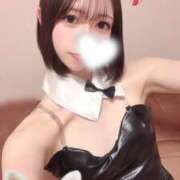 ヒメ日記 2026/05/05 08:45 投稿 しゅうか ロイヤルフラッシュ