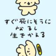 ヒメ日記 2026/05/09 10:00 投稿 しゅうか ロイヤルフラッシュ