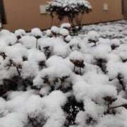 ヒメ日記 2026/02/09 15:29 投稿 由香里(ゆかり) 人妻城 横浜本店