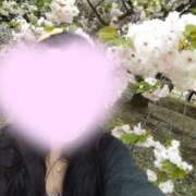 ヒメ日記 2026/04/17 08:53 投稿 由香里(ゆかり) 人妻城 横浜本店