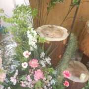 ヒメ日記 2026/04/18 14:16 投稿 由香里(ゆかり) 人妻城 横浜本店