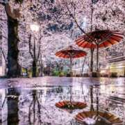 ヒメ日記 2026/02/25 14:15 投稿 ゆう【Ｒ】 乱密(ランミツ)