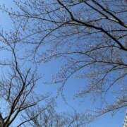 ヒメ日記 2026/03/24 10:05 投稿 ゆう【Ｒ】 乱密(ランミツ)