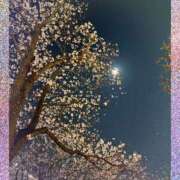 ヒメ日記 2026/03/29 09:55 投稿 ゆう【Ｒ】 乱密(ランミツ)