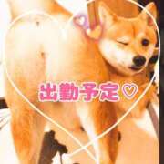 ヒメ日記 2026/04/19 07:25 投稿 ゆう【Ｒ】 乱密(ランミツ)