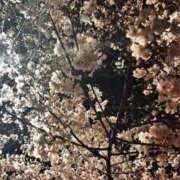 ヒメ日記 2026/04/05 09:38 投稿 あかり 素人妻達☆マイふぇらレディー