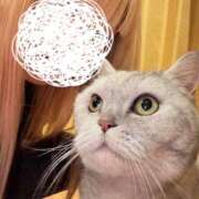 ヒメ日記 2026/02/27 22:13 投稿 エナ 西川口ハートショコラ（シンデレラグループ）