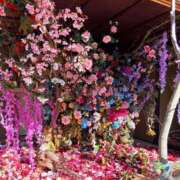 ヒメ日記 2026/03/14 19:02 投稿 現役清純大学生『翠すい』 GOOD-グッド-