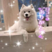 ヒメ日記 2026/05/05 16:30 投稿 ゆう YESグループ TSUBAKI FIRST