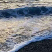 ヒメ日記 2026/01/27 07:31 投稿 まひる 熟女の風俗最終章 本厚木店