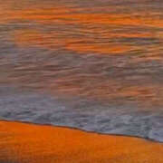 ヒメ日記 2026/02/16 08:01 投稿 まひる 熟女の風俗最終章 本厚木店