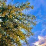 ヒメ日記 2026/02/25 09:31 投稿 まひる 熟女の風俗最終章 本厚木店