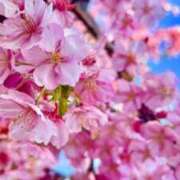 ヒメ日記 2026/02/27 09:21 投稿 まひる 熟女の風俗最終章 本厚木店