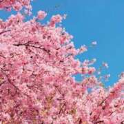 ヒメ日記 2026/03/02 08:21 投稿 まひる 熟女の風俗最終章 本厚木店