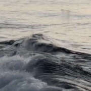 ヒメ日記 2026/04/04 08:11 投稿 まひる 熟女の風俗最終章 本厚木店