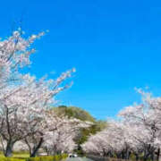 ヒメ日記 2026/04/06 08:03 投稿 まひる 熟女の風俗最終章 本厚木店