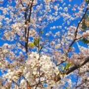 ヒメ日記 2026/04/08 16:11 投稿 まひる 熟女の風俗最終章 本厚木店